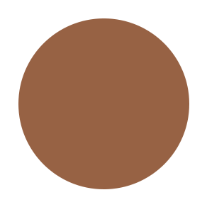 Beauty Stix Foundation — 29 Shades