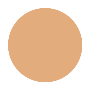 Beauty Stix Foundation — 29 Shades