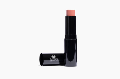 Multi-Use Color Sticks — 4 Shades