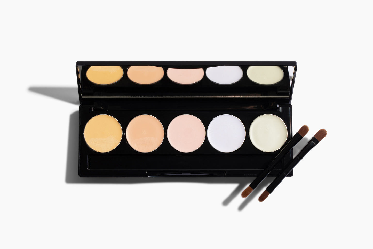 Tone Corrector Palettes — 2 Options