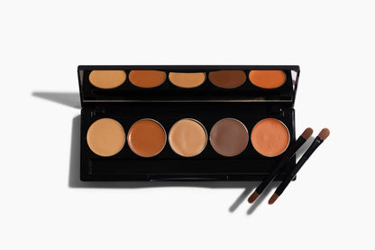 Tone Corrector Palettes — 2 Options